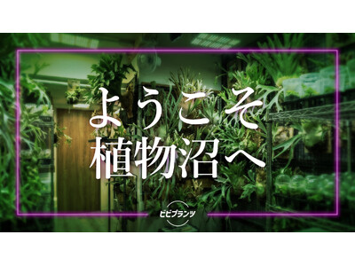 ����A�����u�C���e���A�̘e���v����u������}�X�^�[�s�[�X�v�ցB�u�[���̐���s����l�������ɔ���������