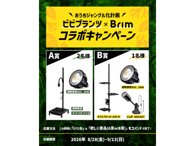 �y�������ŗ΂���Ă悤�z�A�����C�g���琬�I���Z�b�g�œ�����IBRIM�~�r�r�v�����c���R���{�L�����y�[����W�J�ÂŁA�������I�m��2�{�̃`�����X�B