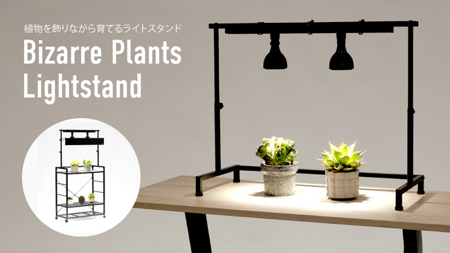 【ビザールプランツ】アガベなど多肉植物の育成環境を最適化。組み合わせ自由な植物棚シリーズから育成ライトスタンド登場！