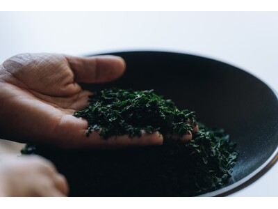 新原製茶、碾茶入札会で史上最高額1kg47,100円を落札。鹿児島茶市場取引で3冠達成。