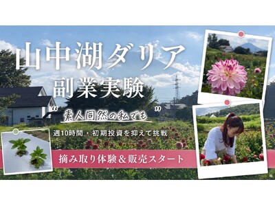 「素人同然の私でも」　山梨・山中湖村で始まったダリアの副業実験