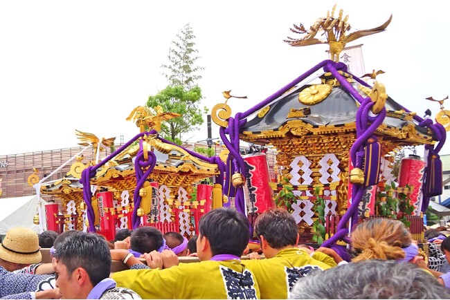 【神奈川県寒川町】夏の一大祭り 第11回「さむかわ神輿まつり」開催！