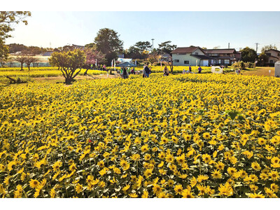 �y�_�ސ쌧���쒬�z10�N�ڂ́u���ނ���~�̂Ђ܂��v