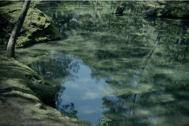 ʐ^ƁE{玁~\j[ fW^J7 IVuFve[}ɎB肨낵ʐ^WuPRI?REvwdvusvɂĊJ