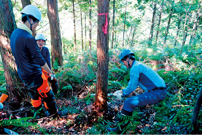 【契約更新】「環境先進企業との協働の森づくり事業」高知県および四万十市とのパートナーズ協定