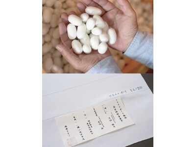 純国産絹糸「プラチナボーイ」プロジェクト20周年記念展「源（みなもと）」開催