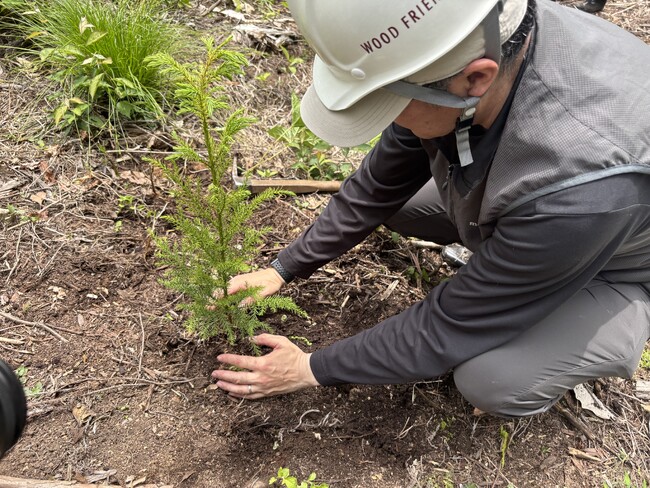 【木質資源カスケード事業】高山市の自社林で植林プロジェクト第1号を始動