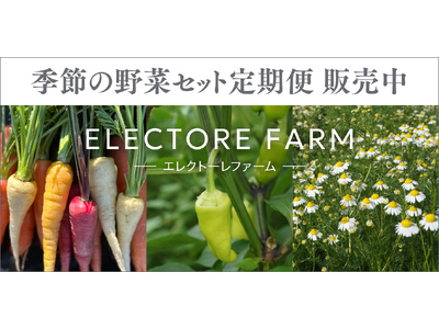 【旬の無農薬野菜＆ハーブをお届け】エルビュー株式会社の無農薬菜園「ELECTORE FARM」より定期便の販売がスタート