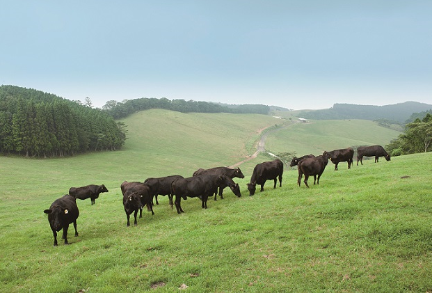 【かみむら牧場】 幸せの夏休みラストウィーク開催！家族でお腹いっぱい焼肉デー 小学生はすべての食べ放題コースが999円（税込1,098円）