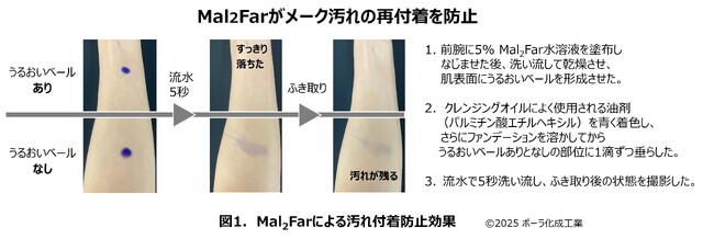 極小構造を形成する独自成分Mal2Farのうるおいベールによってメーク汚れの再付着を防止するクレンジング技術を開発