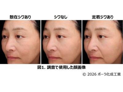 「散在シワ」と「定着ジワ」では肌やその人の印象に及ぼす影響が異なることを発見