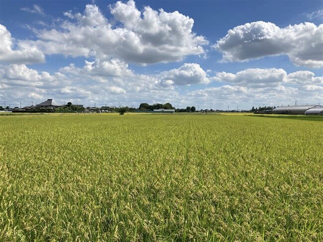 BASFとNEWGREEN、「xarvio(R) HEALTHY FIELDS」に土壌改善AIサービス「Humus」を組み込み、日本初*1の収量保証型サービスを提供開始