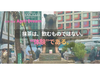 【再販決定】発売直後に完売した“桜抹茶”。「飲む」から「点てる」へ、広がり始めた新しい体験｜WACHA