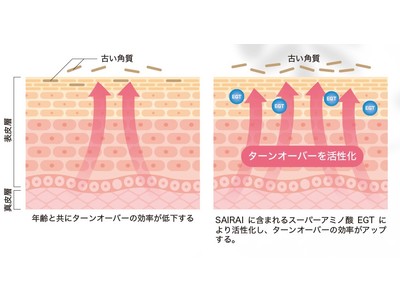 日本発クリーンビューティコスメブランド ヴィーガンを取り入れた独自製法* “ヴィーガシナジー製法(R)” 新ブランド“SAIRAI(R)”誕生