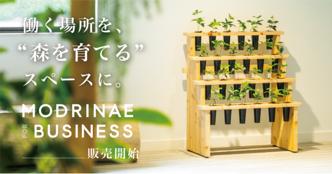 働く場所を森を育てる場所にする、植物インテリア「MODRINAE FOR BUSINESS」販売開始。