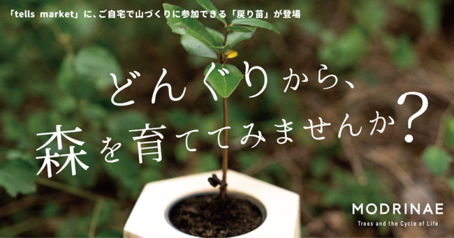 買い物をするだけで森が増える「tells market」に 、ご自宅で山づくりに参加できる「MODRINAE」が登場