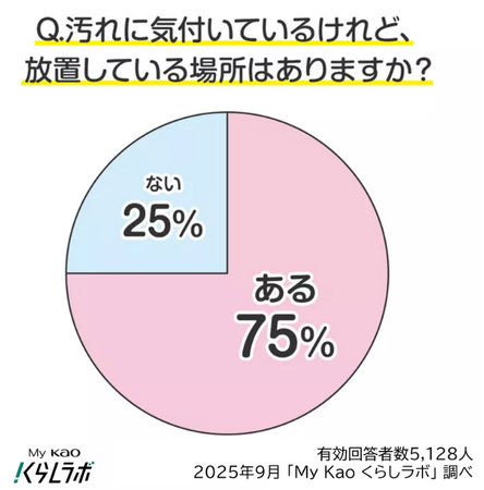 75%が汚れに気付いているけど後回し　大掃除前に要チェック！“見て見ぬふり”しがちな掃除ランキング発表