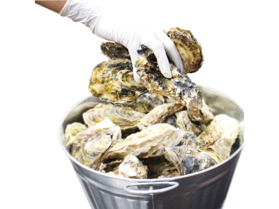 11月23日(金)は牡蠣の日！ニューヨークで人気の「Oyster week」が日本初上陸！ゼネラル・オイスターが牡蠣尽くしのJAPAN OYSTER WEEK開催！