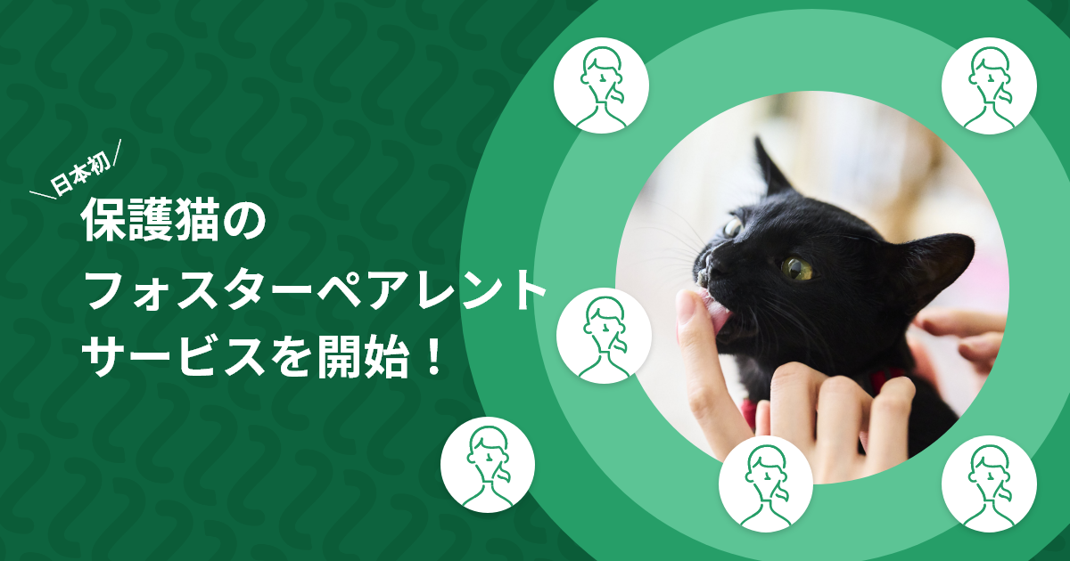 誰でも猫を飼える時代に！？保護猫の推し活「ネコノート」が、日本初の保護猫フォスターペアレント（養親）マッチングサービス「ネコノートペアレント」をスタート！クラウドファンディングも同時にスタートします！