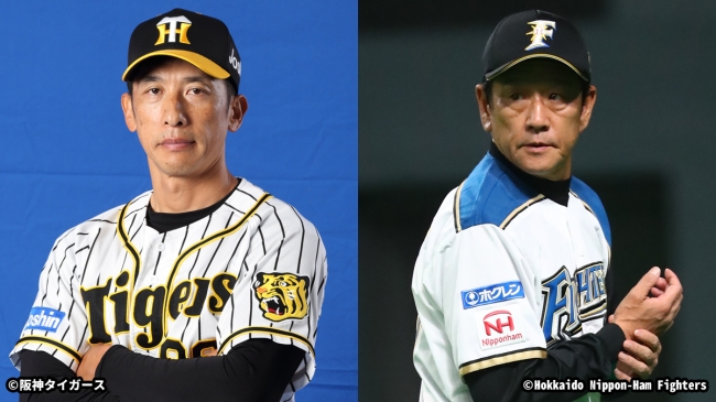 シーズンのプロ野球放送スケジュール決定 阪神タイガース 北海道日本ハムファイターズの公式戦を生中継79試合を含む計110試合お届け 記事詳細 Infoseekニュース