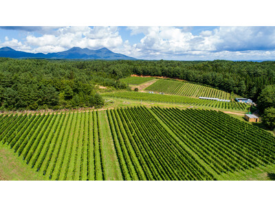 わいんびとが、青森県の日本ワイン生産者「サンマモルワイナリー」の2021年ヴィンテージレポートを発表。