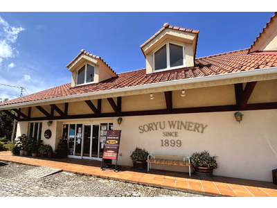 わいんびとが、山梨県の日本ワイン生産者「蒼龍葡萄酒」の2021年ヴィンテージレポートを発表。