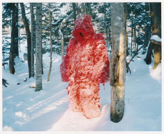 gJ؉ē̐VwSharixbe_ۉfՂɌIoAfՂʂɑIoRɂẴRg