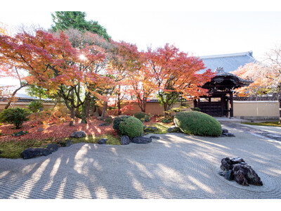 「工芸」と「近代洋画」に注目するアートフェア「CURATION⇄FAIR Kyoto」2025年11月1...