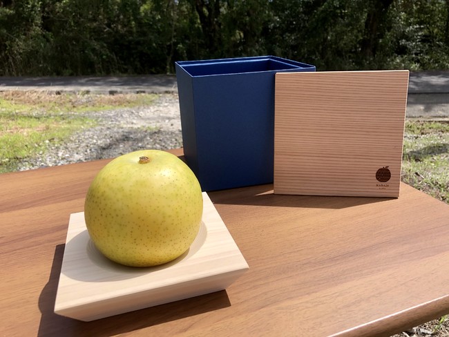 【30個限定販売】奈良県プレミアムセレクト認定 <プレミアム20世紀梨> 9月1日(木)より奈良専門オンラインショップ「ならわし narawashi」にて先行予約販売スタート!