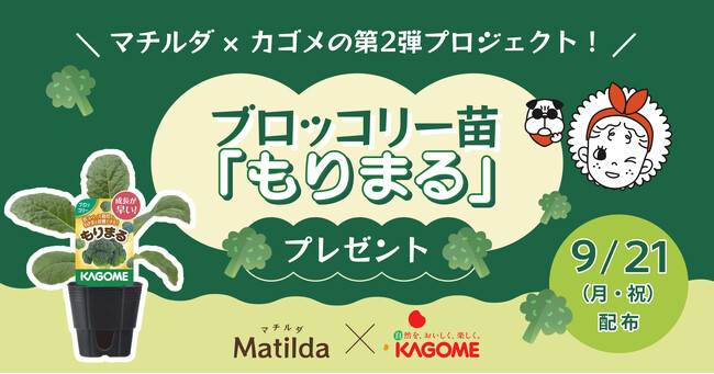 マチルダ × カゴメの第2弾プロジェクト！ブロッコリー苗「もりまる」を希望者へプレゼント