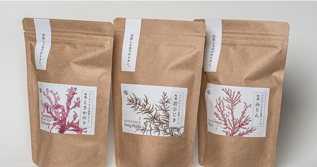 【本日から販売開始】新感覚の常備食材“プレミアム サラダ海藻”