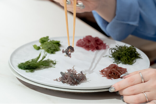 シーベジタブル、八重洲に新拠点。海藻の可能性をひらく実験の場「SEAVEGE- Kitchen Lab」を3月に始動