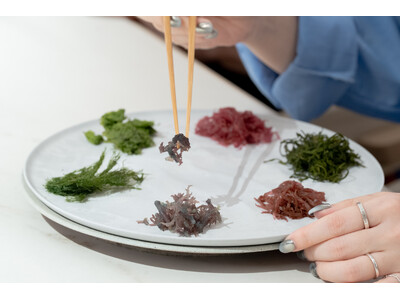 シーベジタブル、八重洲に新拠点。海藻の可能性をひらく実験の場「SEAVEGE- Kitchen Lab」を3月に始動