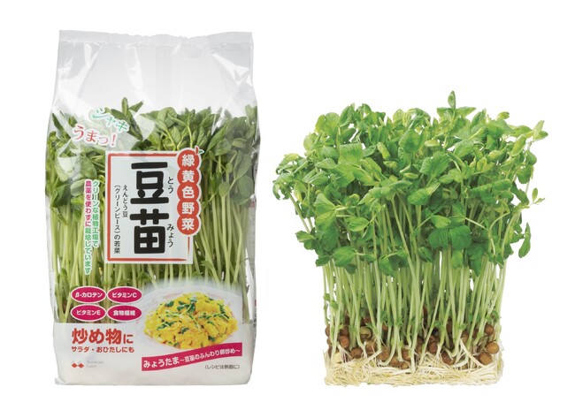 村上農園「豆苗」発売30周年！ “家計のお助け野菜”は、会社を救った“お助け野菜”だった