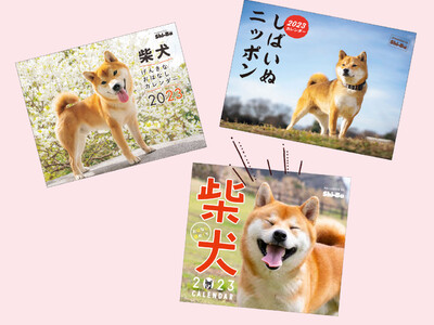 迷ったらコレ！ 年間2万枚以上の柴犬写真を撮影する編集部による、柴犬好きに刺さる最強の柴犬カレンダーが絶賛発売中