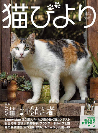 特別付録は「岩合光昭 抗菌マルチケース」！ 季刊化第1号 『猫びより』春号が3月10日に発売のメイン画像