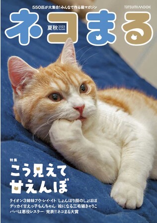 甘えんぼ猫大集合！ 『ネコまる』2023 夏秋号 Vol.46が5月18日に発売のメイン画像