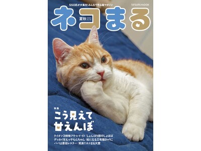 甘えんぼ猫大集合！ 『ネコまる』2023 夏秋号 Vol.46が5月18日に発売