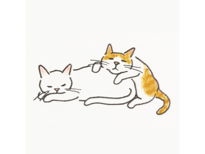 【Amazon2部門ベストセラー1位】猫ばかり描くイラストレーター小泉さよさんがイラストの描き方を指南する『ねこの描き方れんしゅう帖』が発売。対象店舗ではポストカード特典も。