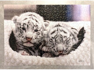 ＼即重版で超話題の写真集／『とらのこ』発売記念でプレゼントキャンペーンを実施中！！生まれたてのポヤポヤなホワイトタイガー・ツキ＆シグレの特製ジグソーパズルが当たる