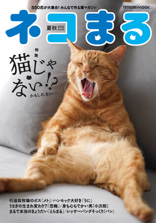 猫だけど猫じゃない!?︎　不思議な仕草や表情が魅力の猫たちが集まる『ネコまる』2026夏秋号 Vol.52が5月21日（木）に発売