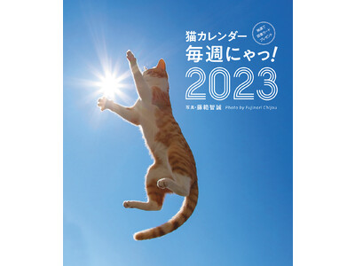 こんな猫カレンダー今までなかった！元気いっぱい、はじける猫たちに週替わりで出会える『猫カレンダー 毎週にゃっ！2023』が新発売
