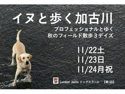 イヌと歩く加古川