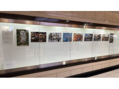 「多層都市・池袋 」　～Echika池袋ギャラリーで３月30日まで開催中～