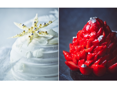 今年のクリスマスケーキは“白”？“赤”？南の島で愉しむクリスマスケーキ&シュトーレン11月1日より予約受付開始
