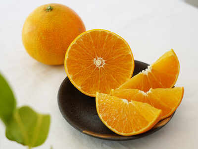 【まじめえひめ公式X プレゼントキャンペーン】みかん収穫シーズン突入を記念？！愛媛県限定栽培の大人気柑橘...