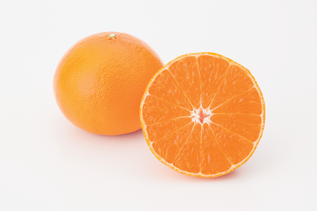 【まじめえひめ公式X プレゼントキャンペーン】柑橘のサラブレッド！？愛媛の柑橘のニューフェイス“紅プリンセス”をプレゼント！