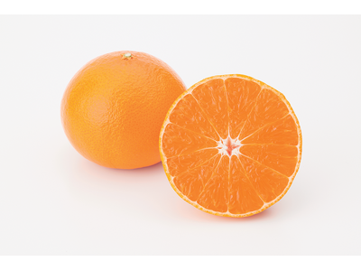 【まじめえひめ公式X プレゼントキャンペーン】柑橘のサラブレッド！？愛媛の柑橘のニューフェイス“紅プリン...