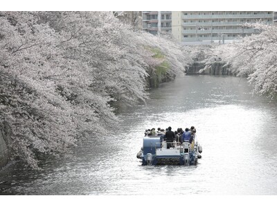 【人気No.１】ただいま販売中！毎年2万人が乗船する人気クルーズ「桜の名所、目黒川お花見クルーズ」 3月...