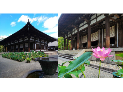 【奈良ホテル】まさに幻想的 「唐招提寺蓮」など見ごろを迎える多数の”蓮の花”をご鑑賞　朝の勤行・茶粥のふ...